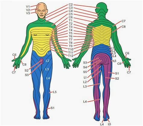 Image result for Picture of Compute Coding System
