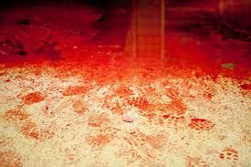 Image result for Alien Stomach Experiment Surgery