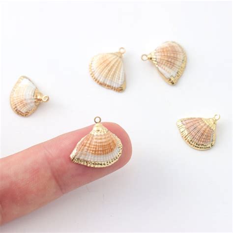 Mini Sea Shells - Etsy