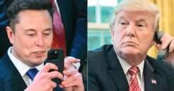 Trump warns Elon Musk of deportation to South Africa | The Island ...