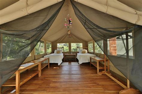 CANOPY CAMP (Panama/Panama City) - Campground Reviews, Photos, Rate ...