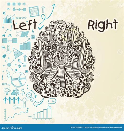 Left Right Hemisphere 的图像结果