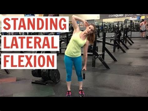 Image result for Multifidus Exercises