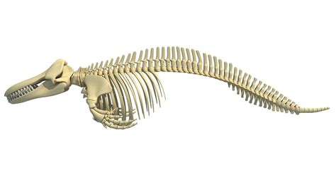 Image result for Alien-Looking Device