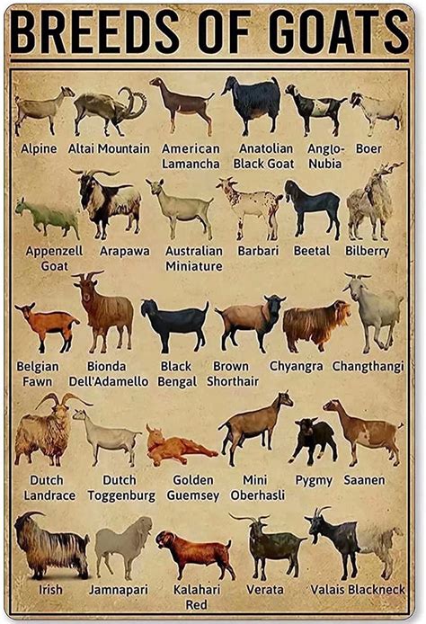 The goat breed guide – Artofit