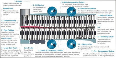 Image result for Tablet Compression Process