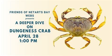 Deeper Dive: Dungeness Crabs, 4949 Netarts Hwy,Netarts,97141,US, 28 ...