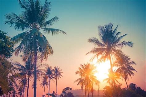 ASAM Criteria: Levels of Care & Multidimensional Assessment Training ...