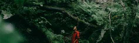 Our Projects - SoulForest :: Creating India First Co-Owned Forest