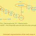 ELEMENTAL CHEMISTRY: Synthesis of acetanilide paracetamol phenacetin
