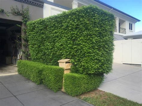 Image result for How to Write Java Programs in Class Design Structure