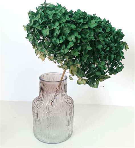 Bakewareind Dried Hydrangeas Leaves Preserved, Green