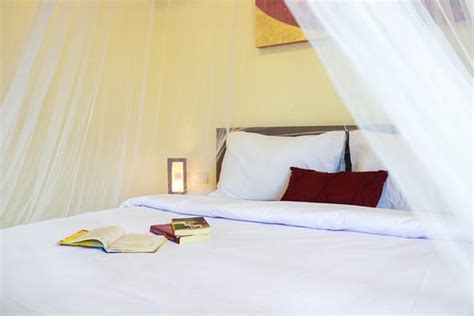 NIRVANA INN (Patong, Phuket) - Hotel Reviews & Photos - Tripadvisor