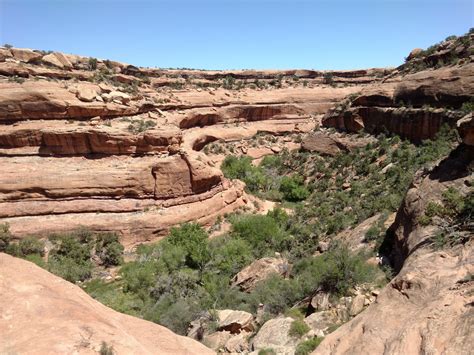 Cedar Mesa Loop: Ruins and Monuments - BIKEPACKING.com