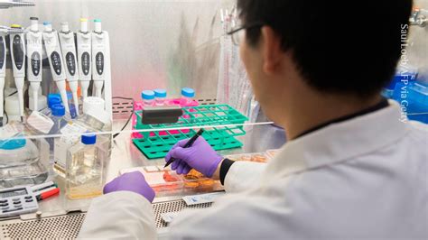 Nature Article 的图像结果