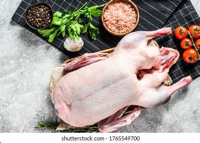 Python Eat Goose 的图像结果