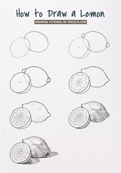 Image result for Simple Lemon Drawing