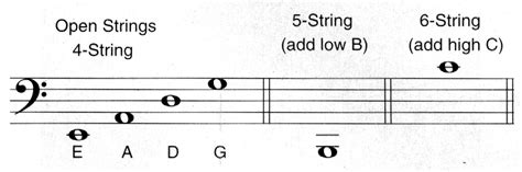 Fretboard.com - Bass Fundamentals
