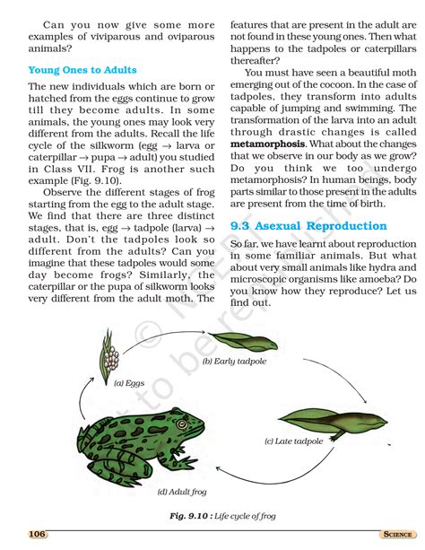 Image result for Class 8 Reproduction Chapter