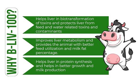 Brihans Animal Health B Liv-100 | Vital Liver Tonic with Liver Extract ...
