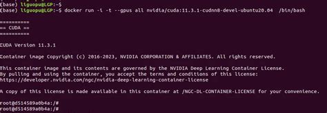 Smokeapi Tutorial 的图像结果