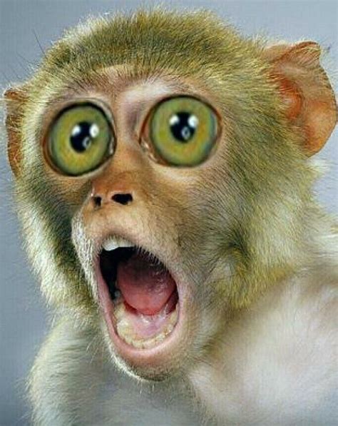 Crazy Fun Stuff 的图像结果