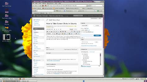 Image result for Ubuntu Server Screen Shot