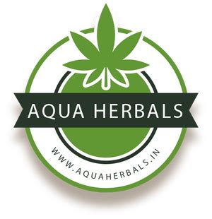 Dr. Reckeweg R11 Rheumatism Drop (22ml) – AquaHerbals