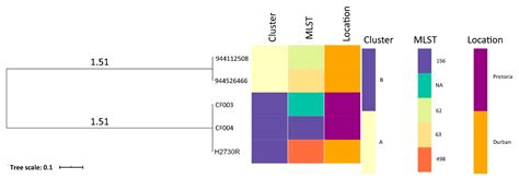 Pathogenomic Analysis of a Novel Extensively Drug-Resistant Citrobacter ...