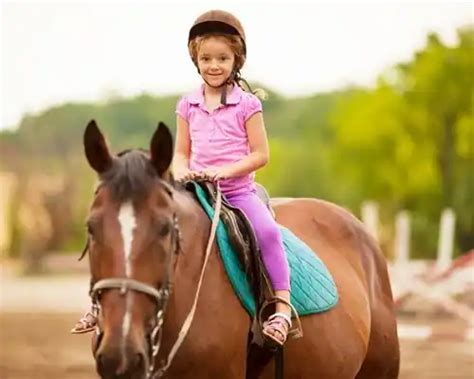 Horse Ride In Bangalore For Birthday/kids Party @8000