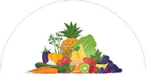 Bariatric Surgery Steps, Before and After Bariatric Surgery Diet | Dr ...