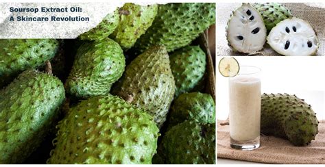 Soursop Extract Oil: A Skincare Revolution | Clinikally