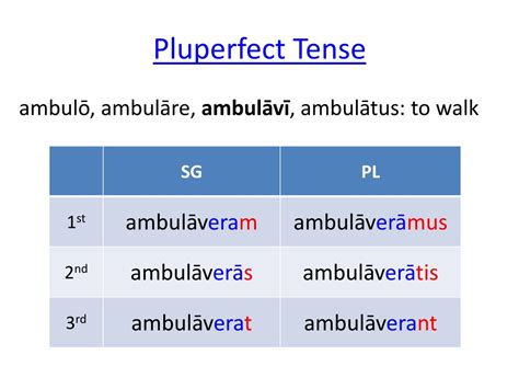 PPT - Jenney’s First Year Latin Lesson 12 PowerPoint Presentation, free ...