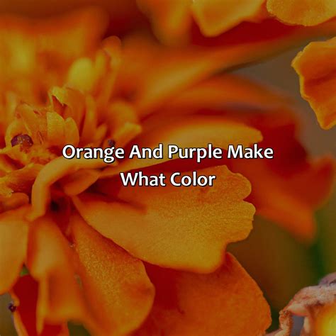 What Color Is 3 - colorscombo.com