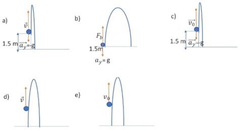 Categorized and Correlated Multiple-Choice Questions: A Tool for ...