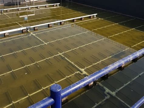 OTT Group India – Titan Aeration: High-Performance Aeration Systems