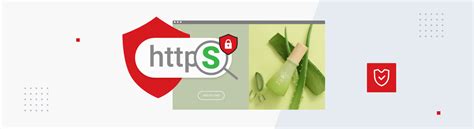 Local Hosting 的图像结果