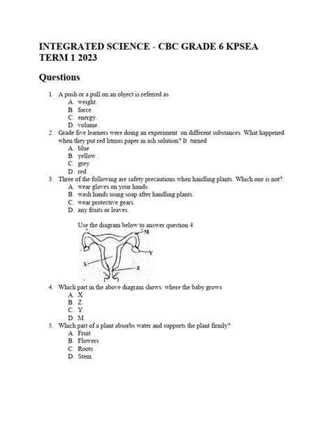 Image result for Integrated Science Basics