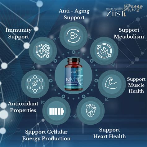 Nicotinamide: The Powerful Vitamin for Skin and Cellular Health – Ziist