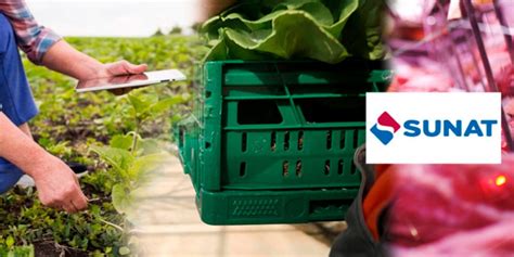 Image result for Development Case Study Examples