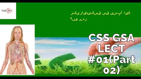 Noa CSS 的图像结果