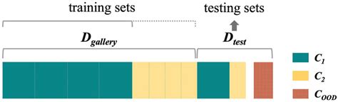 Dataset Preparation Python 的图像结果