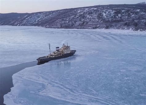 Image result for Ice Types Polar Code