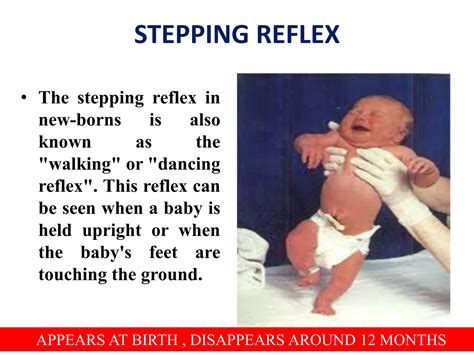 Newborn Reflex 的图像结果