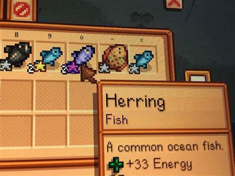 Herring in Stardew Valley: How to catch & get it? (Location included ...