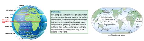 ALL ABOUT ENSO AND MJO UPSC
