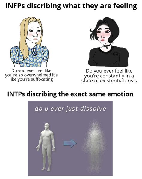 Intp Vs Infp