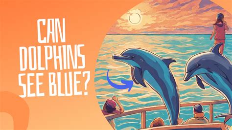 Dolphin Color 的图像结果