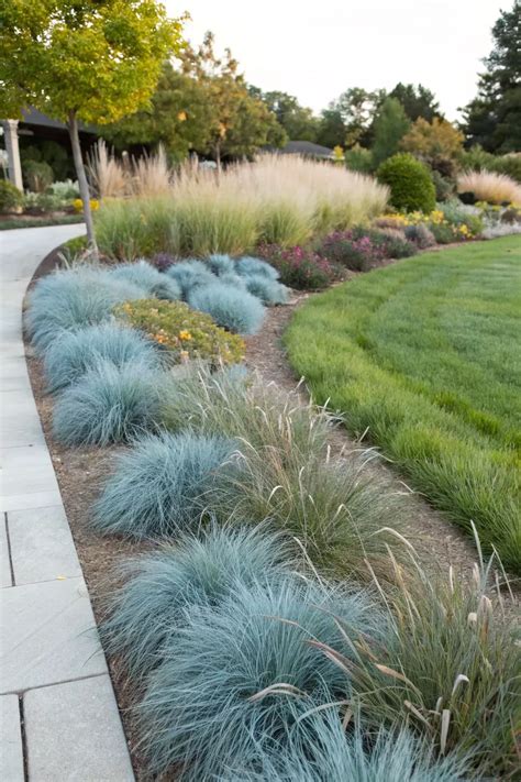 19+ Inspiring Border Landscaping Ideas with Ornamental Grasses in 2025 ...