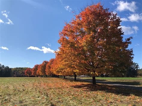Town Maps | Lincoln, MA - Official Website